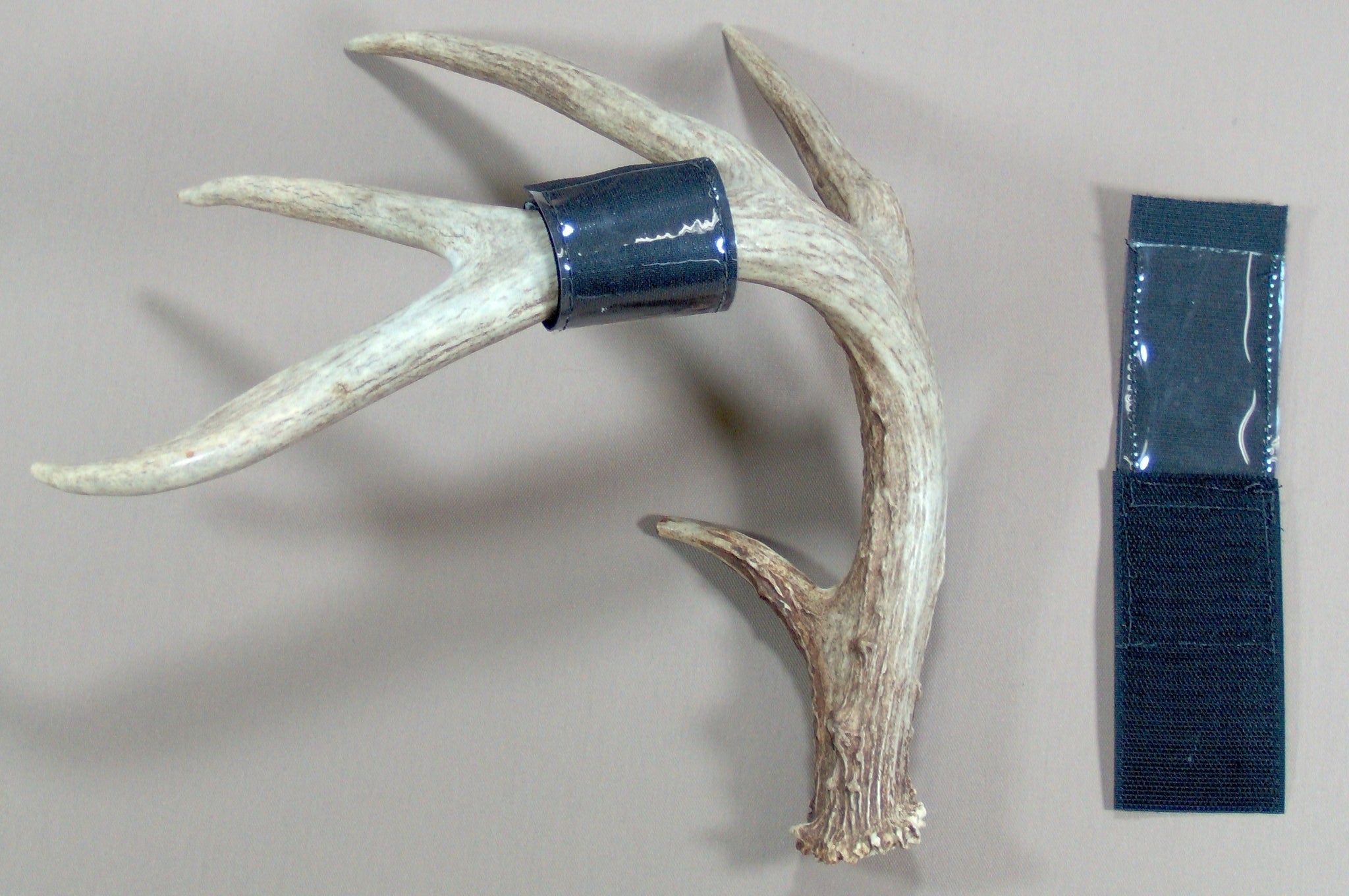 Deer Tag Holder (10 pc)